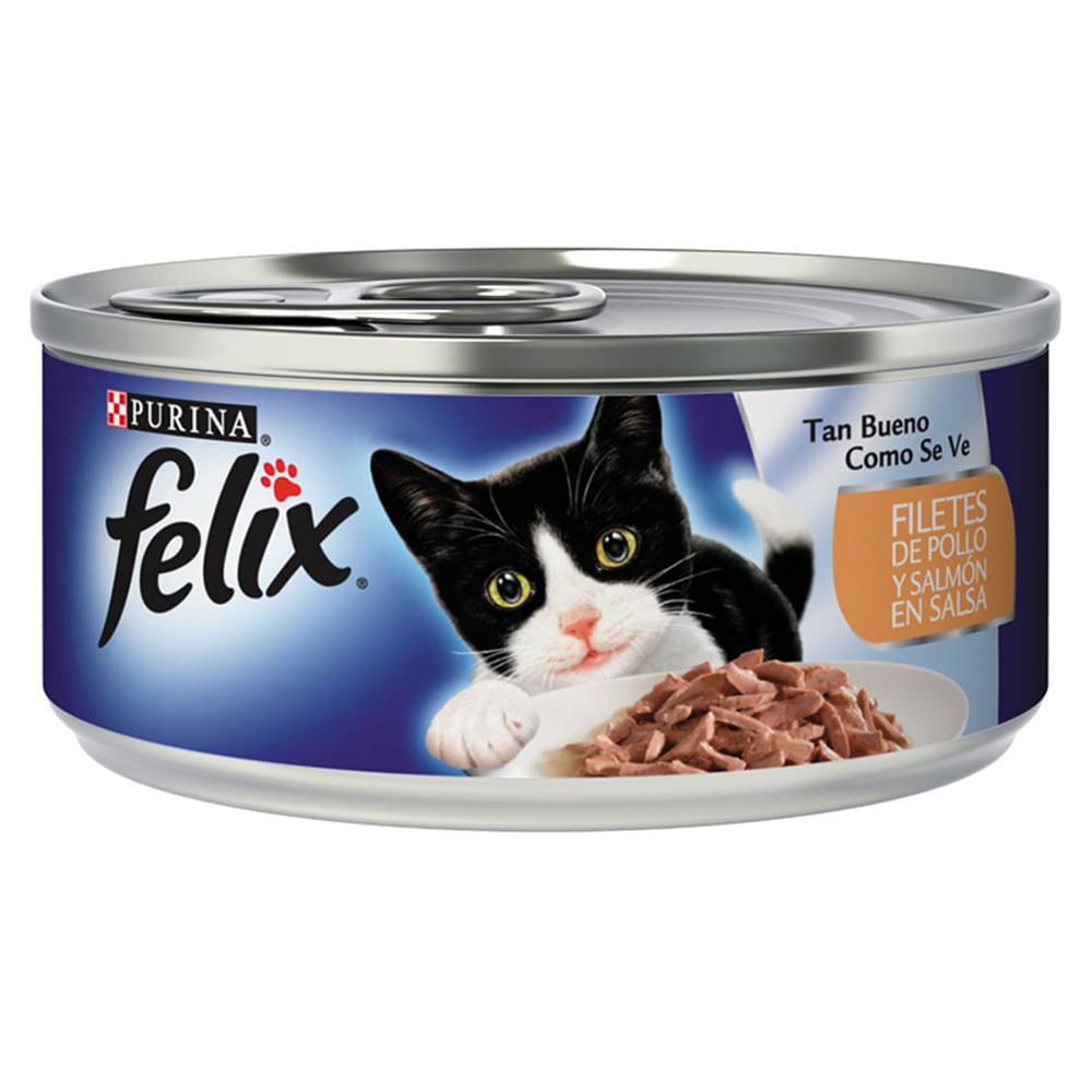 Resultado de imagen para purina felix