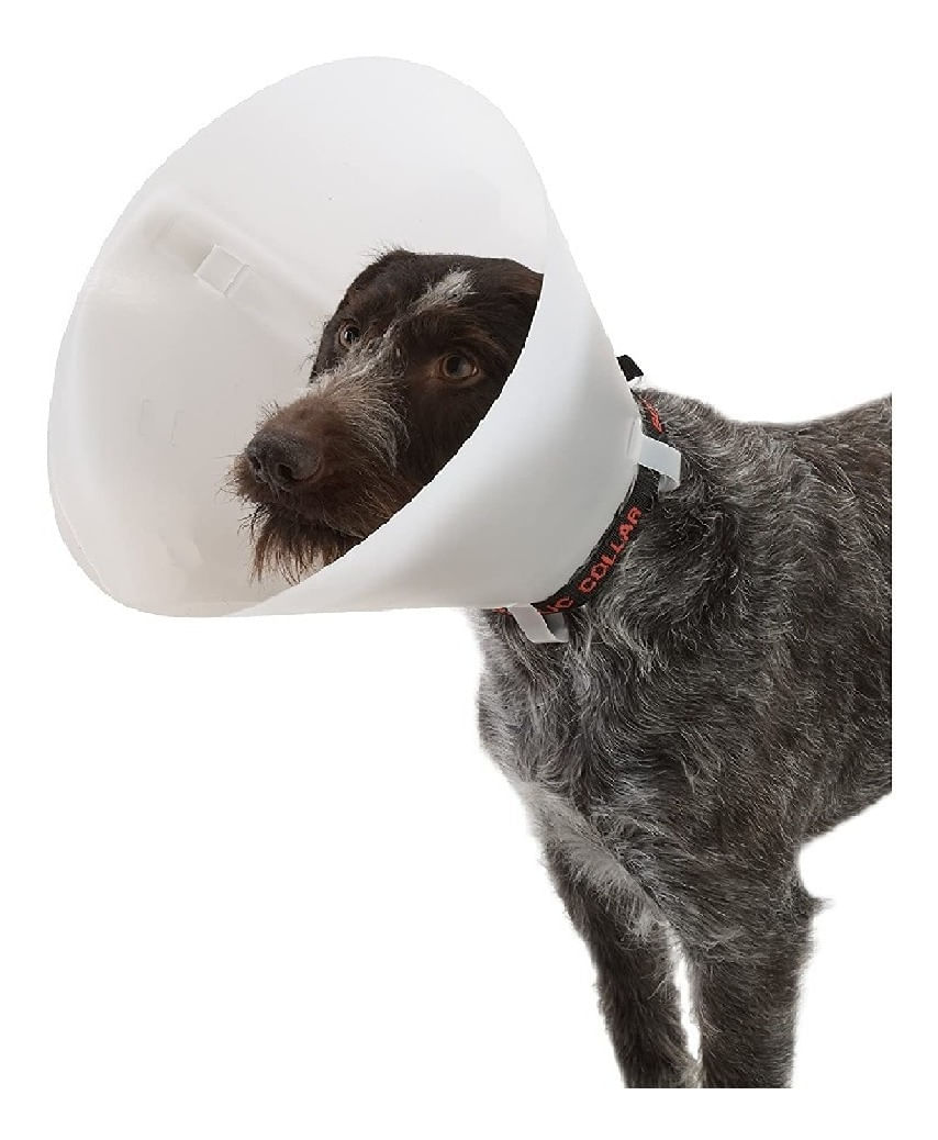 Collar Isabelino Para Perros Buster Clic 10 Cm Luegopago