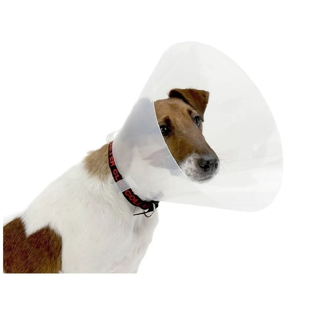 Collar Isabelino Para Perros Buster Clic 10 Cm Luegopago